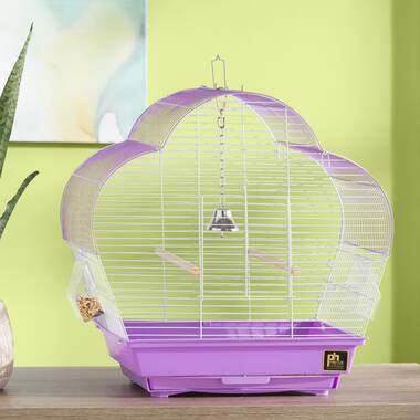 Tucker Murphy Pet™ Ciani 24'' Plastic Dome Top Hanging Bird Cage with Perch  & Reviews