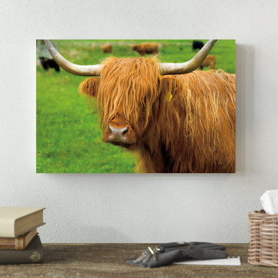 «Scottish Highland Catch I» par Alan Majchrowicz, reproduction de photo sur toile tendue
