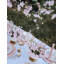 Florienne Cherry Blossom Garden Chandelier-1535537610
