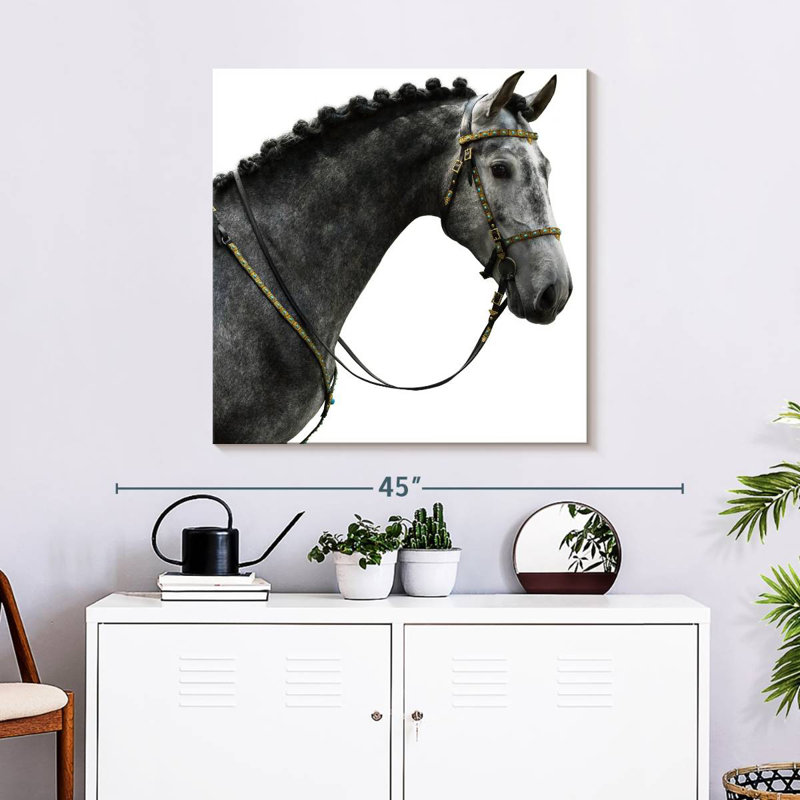Brampt Gray Spanish Horse