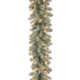 The Holiday Aisle® Downswept Douglas Garland with Lights