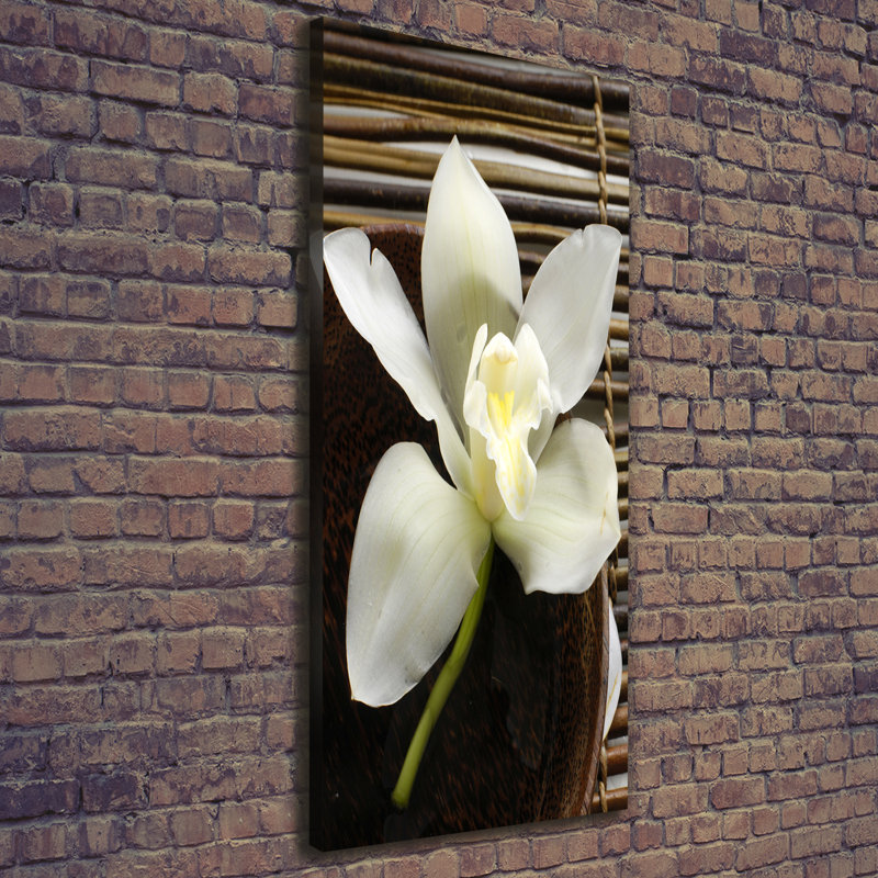 Orchid - Wrapped Canvas Print