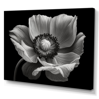 Coquelicots noirs et blancs sur toile