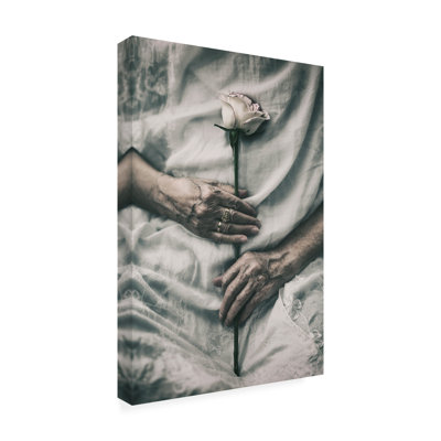 NimaZadshir   Ageless Beauty Canvas Art