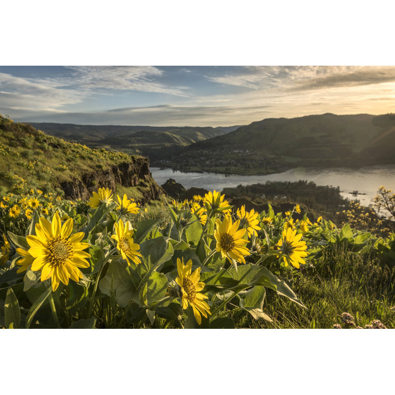Soaking Up The Sun by Danny Head - Wrapped Canvas Print, Wrapped Canvas, 61 cm H x 91 cm W