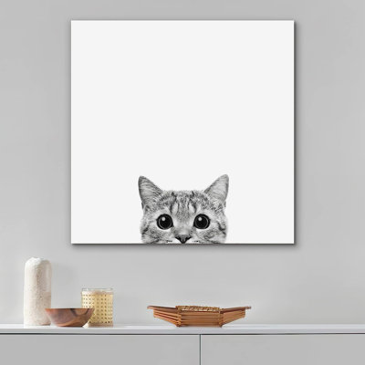 Baby Animals " Friendly Cat "
