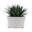 Dynasty Center Basin-1530202399