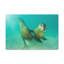 No Frame Print on Canvas-983009282