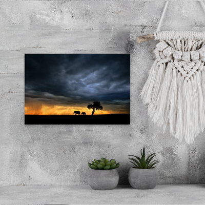 Xavier Ortega - Wrapped Canvas Print