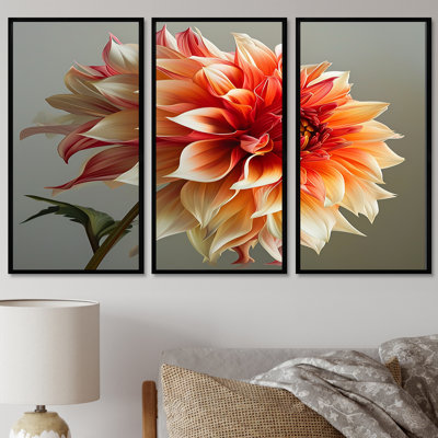 Ensemble de salon Orion - Dahlia