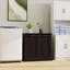 Armoire de trieur de linge à deux compartiments inclinable - noir