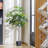 64'' Faux Sycamore Tree in Pot