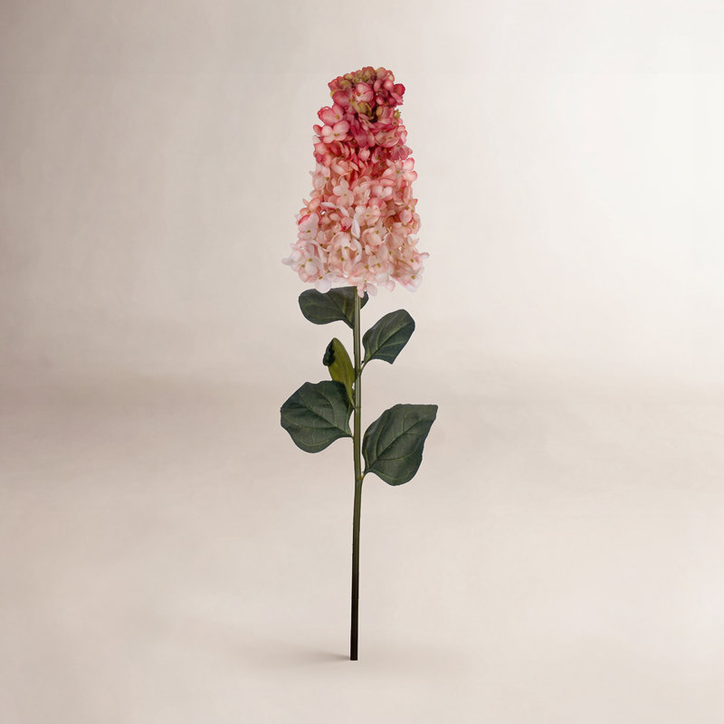 Tige d'Hortensia Milnor, Saumon