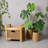 Storage Solid Acacia wood for Bathroom, Family Room, Bedroom-395205090