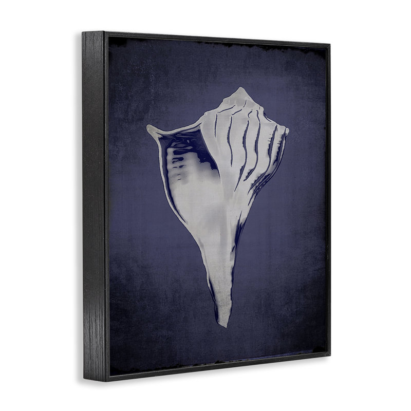  «Lightning Whelk on Indigo», art de la giclée encadrée par Graffi *ee Studios, H 14 po x l 11 po