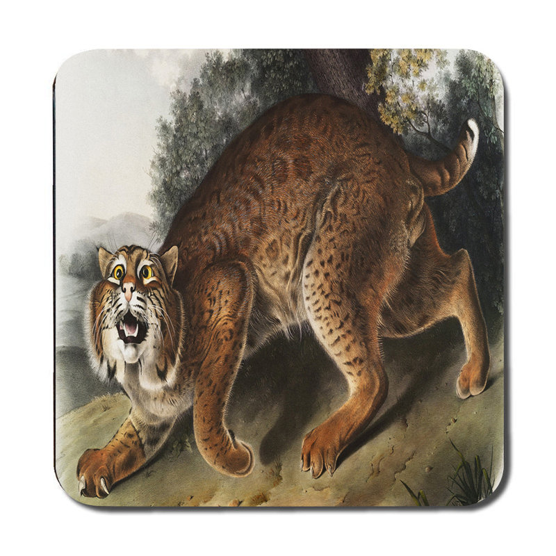 Leopard Artwork Placemat And Coaster Set For Dining Table