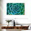 «Live Succulent», reproduction sur toile-92279632
