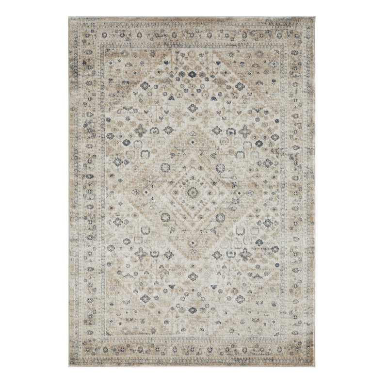 Aldoyn Oriental Indoor Rug, Rectangle 4' x 6'