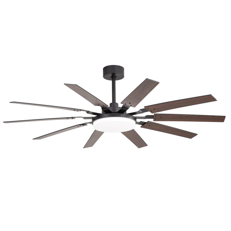 Ventilateur de plafond 60 pouces avec lumière et télécommande, grand ventilateur intérieur / extérieur avec télécommande, ventilateur à 10 pales pour patio