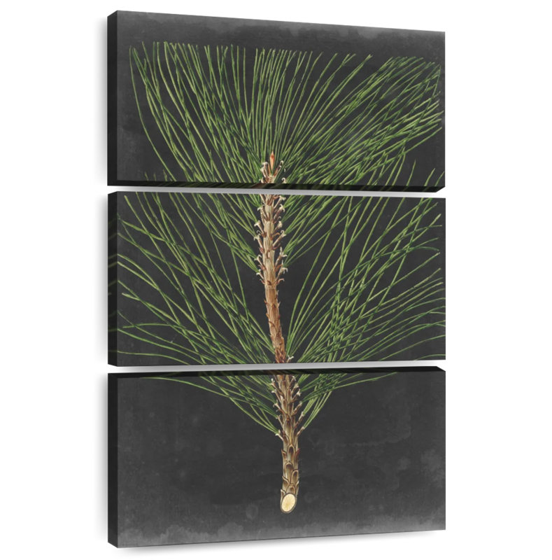 Harnek Dramatic Pine I, 45" H x 28" W