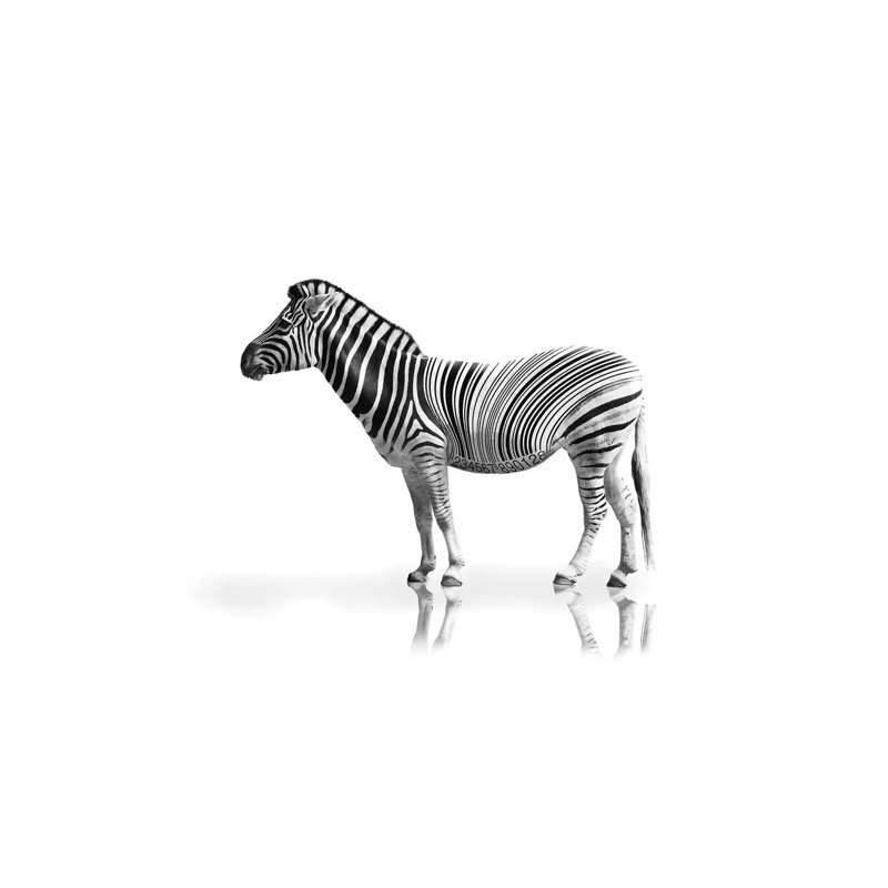 Digital Goes Wild by Marcus Hennen - Wrapped Canvas Print, 20.32 cm H x 30.48 cm W