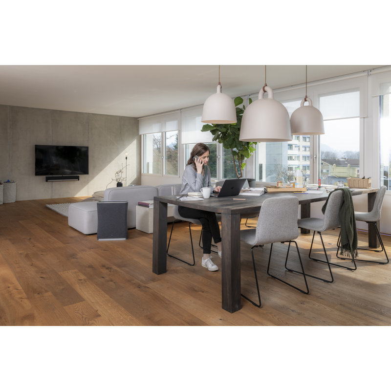 Stadler Form Roger Air Purifier with HEPA Filter and Activated Carbon/Charcoal, 700.00 (Sq. Ft.)