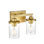 Dariela 4-Light Dimmable Vanity Light