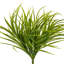 Herbe de agave 3 pièces