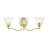 Ellerkamp 3 - Light Dimmable Vanity Light-1621176615