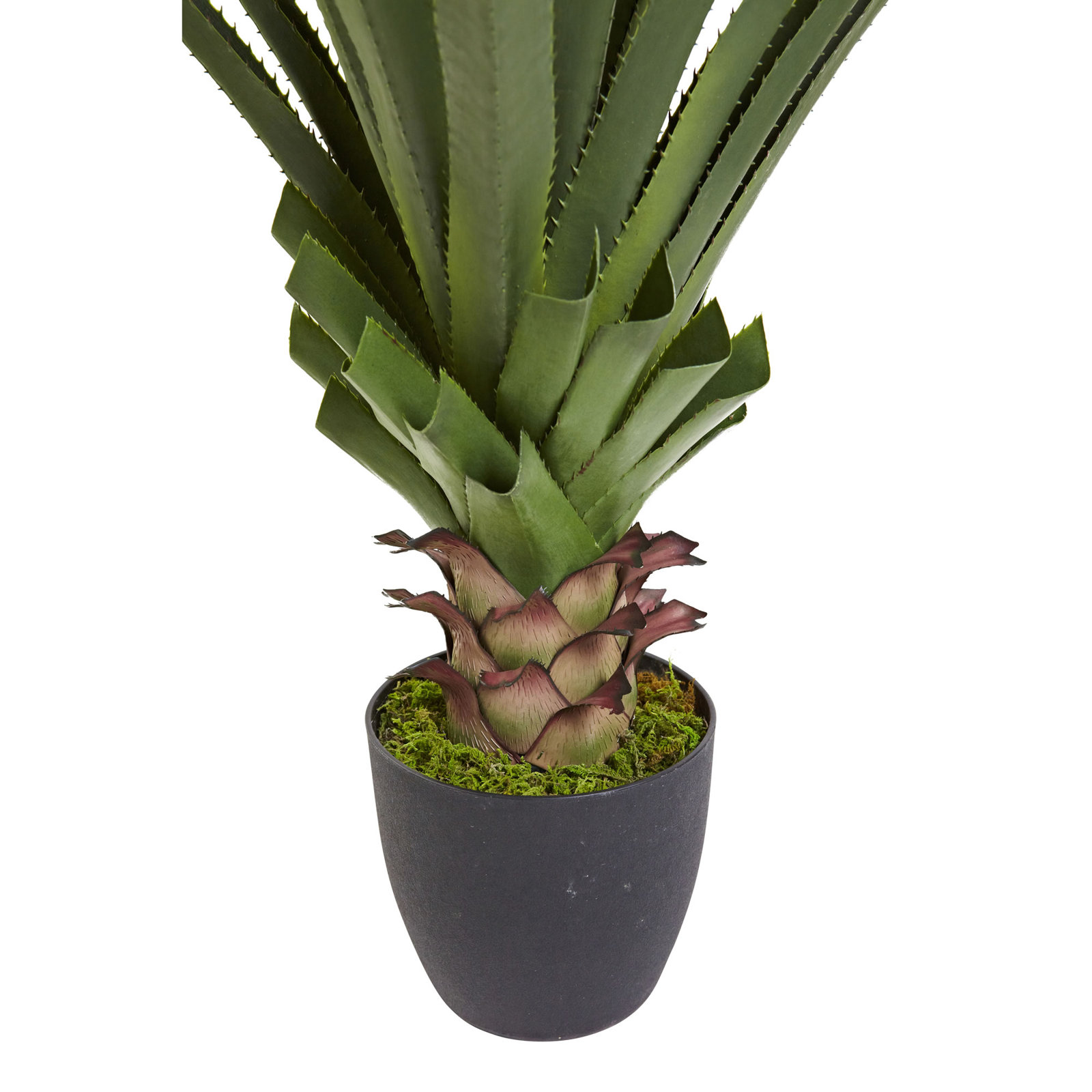 48" Agave Plant in Pot