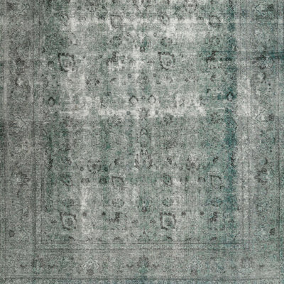 Deegan Indoor Rug