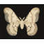 Flutter 7 Print by Todaro, Katie