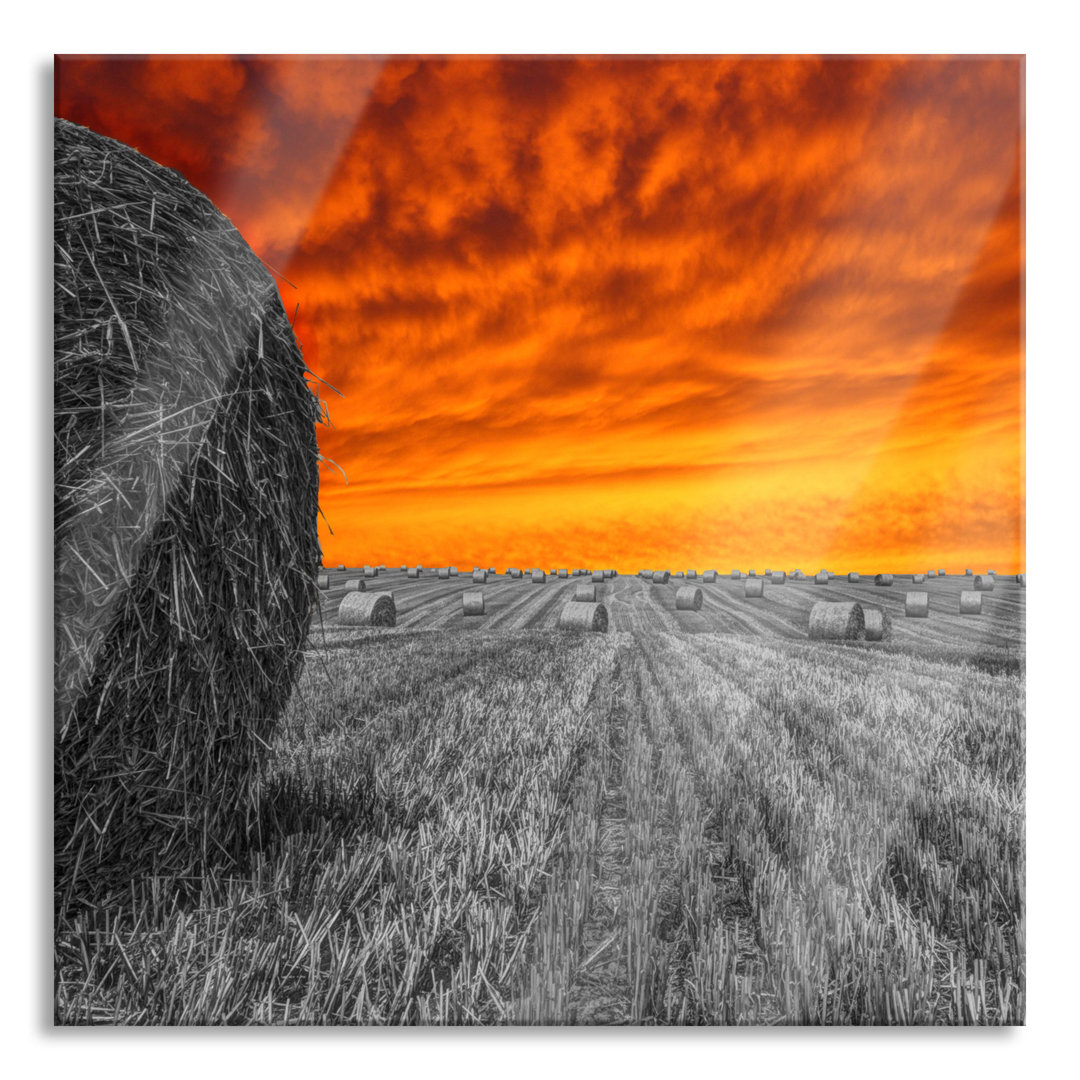 Glasbild Sonnenuntergang über Feld Landschaft