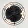 Anthony 12.5'' Black Caged Ceiling Fan with Lights and Remote Control, Small Flush Mount Ceiling Fan