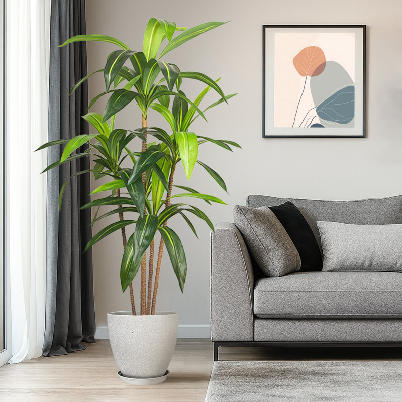 Pots ronds artificiels en résine et arbre Dracaena, Gris clair, H 19,69 po x l 59,06 po x P 19,69 po