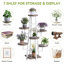 Zoya Plant Stand-793201181-747626390