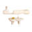 Ensemble de meuble télé et table basse extensible en bois