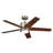 Bhram 48'' Ceiling Fan with LED Lights-82941948