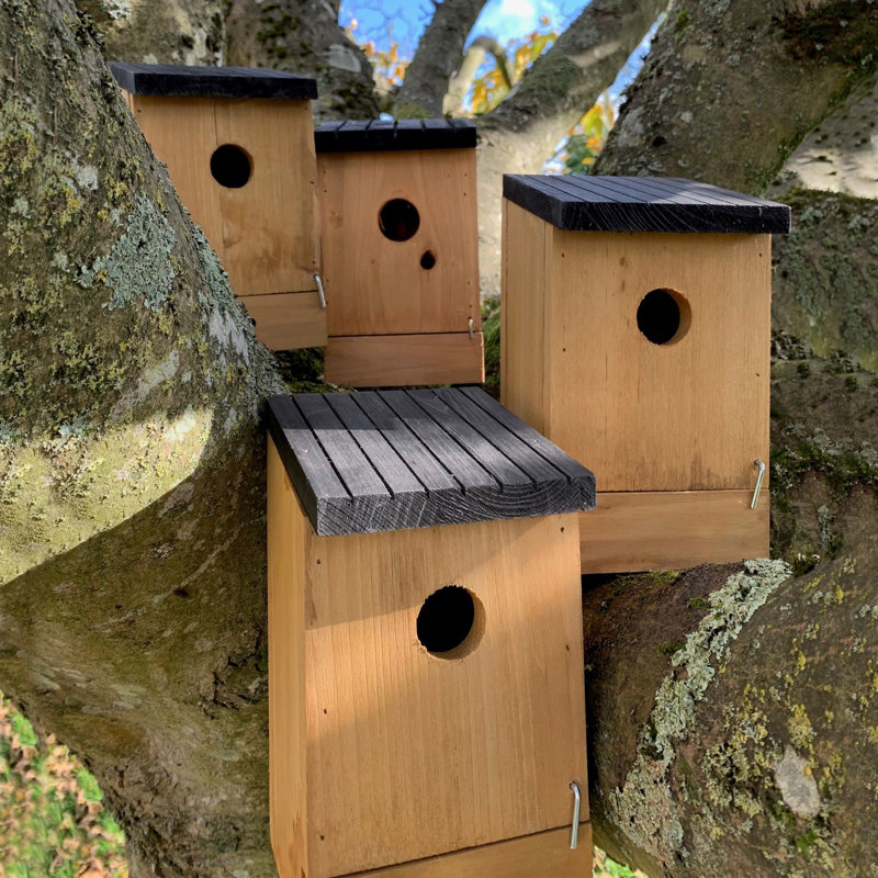 Traditional Wooden Mounted Bird House with Removable Bases
