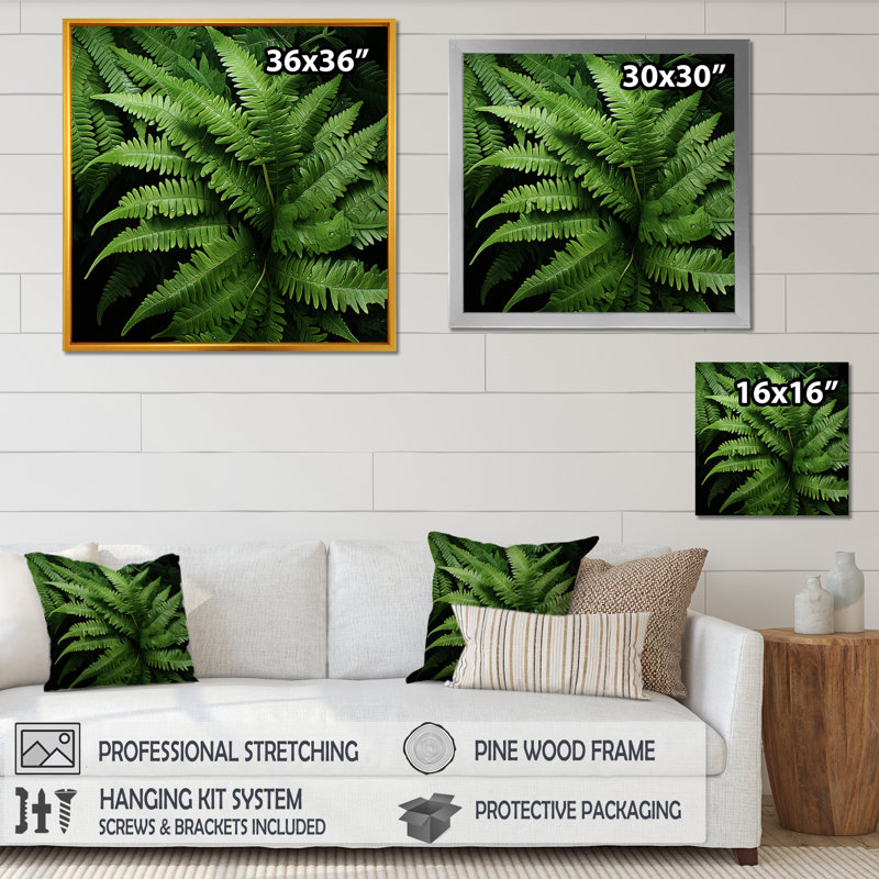 «Green Fern Forest Beauty I - Ferns», art mural, H 30 po x l 30 po x P 1,5 po, Cadre simple argenté