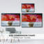 Red Poppies II - reproduction de cadre flottant sur toile-92543568-92543569