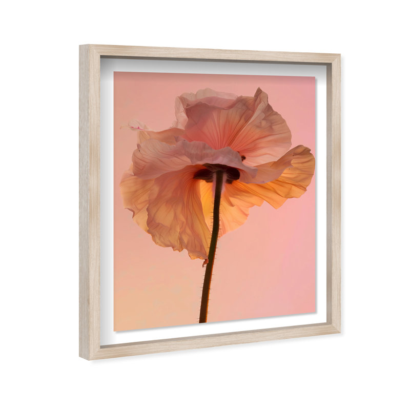 Amber Radiance IV Shadowbox Floral & Botanical Print by Oliver Gal, Black Frame, 16 x 20, 46.5"H x 37.5"W
