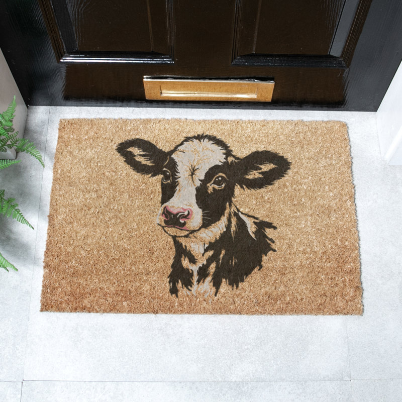 Non-Slip Outdoor Doormat, 40cm W x 60cm L