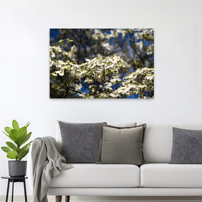 Close-Up Of Flowering Dogwood Flowers On Branches, Atlanta, Georgia, Usa Contemporary Flower Wall Art