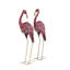 Ensemble de figurines Trombetta Flamingo