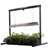 Jump Start Greenhouse Stand-5888217