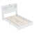 Blanc est en rupture de stock