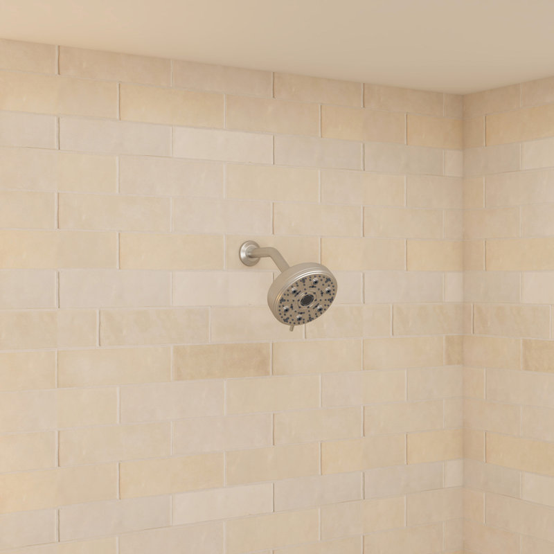 Pomme de douche ronde de remplacement 10 fonctions 5 pouces avec bras et bride, Nickel brossé