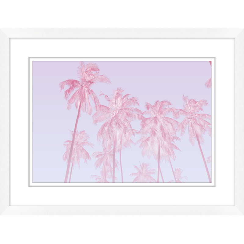 Exposition de palmiers roses
