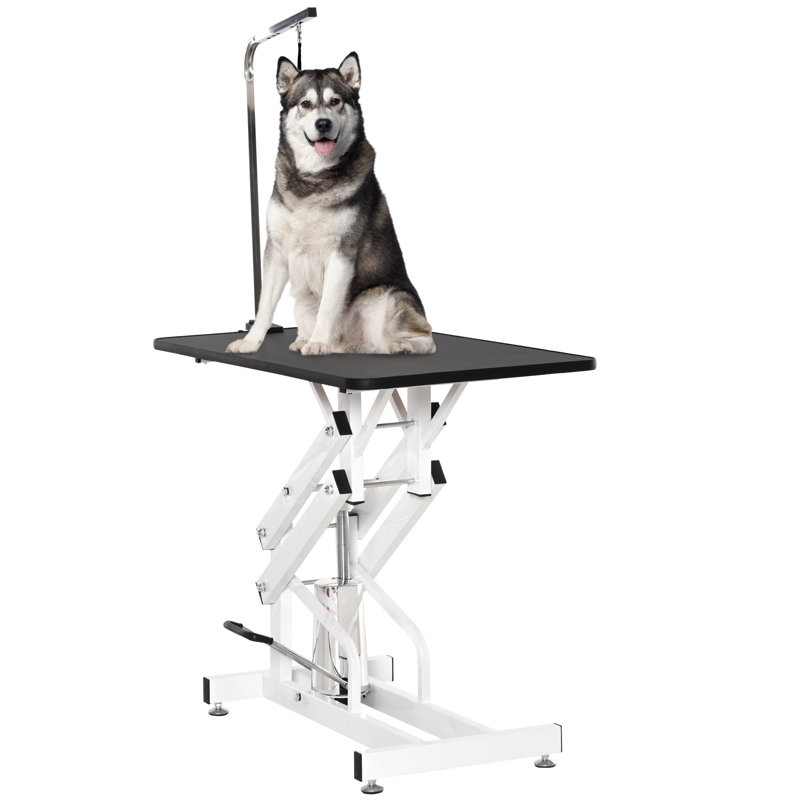 Table de toilettage hydraulique pour chien PawHut